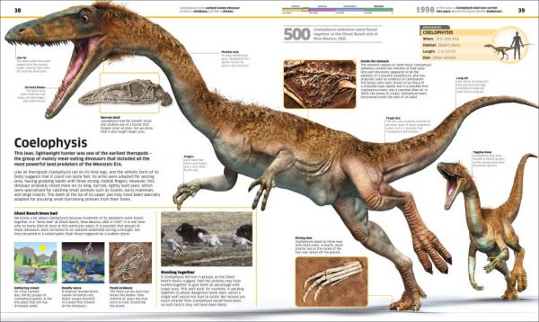 DK Knowledge Encyclopedia Dinosaur! New Edition (恐龍大百科 增修版) 