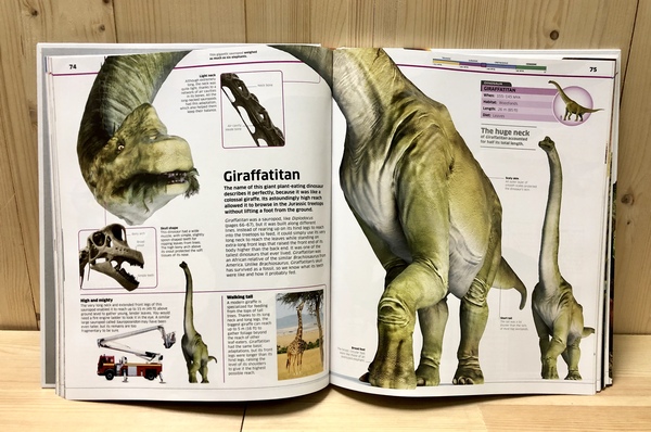 DK Knowledge Encyclopedia Dinosaur! New Edition (恐龍大百科 增修版) 