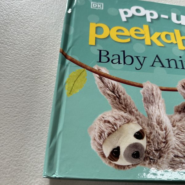 (微恙)DK Pop-Up Peekaboo! Baby Animals (躲貓貓大翻頁立體書：動物寶寶) 