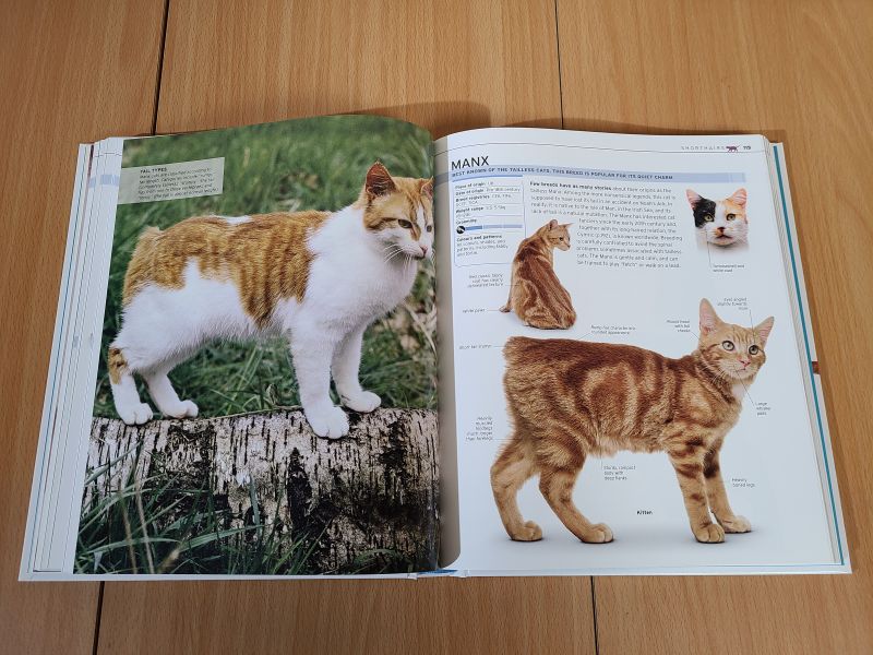 DK The Complete Cat Breed Book(貓咪品種圖鑑 增修版) 