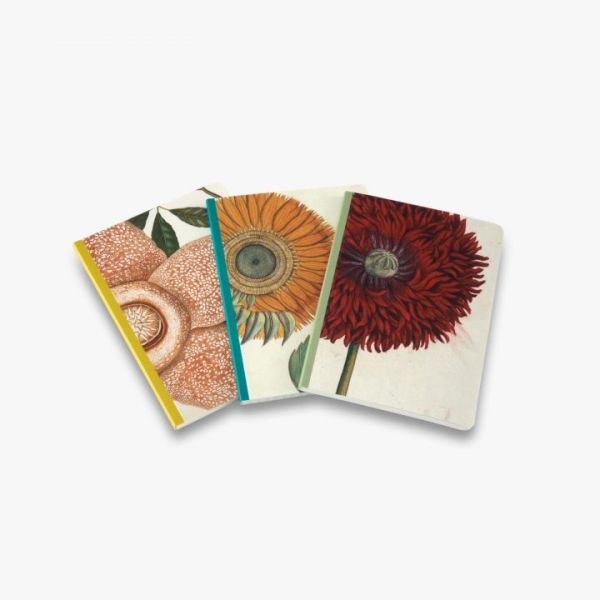 Remarkable Plants Set of 3 A6 Notebooks(英國皇家植物園植物筆記本A6三合一 ) 