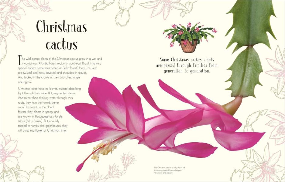 DK An Anthology of Christmas(聖誕節百科) 