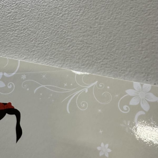 (微恙)DK Disney Princess Craft Book(迪士尼公主手作活動書書) 