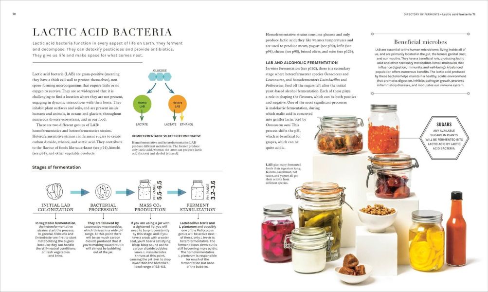 DK The Science of Fermentation(發酵的科學) 