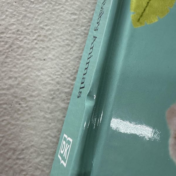 (微恙)DK Pop-Up Peekaboo! Baby Animals (躲貓貓大翻頁立體書：動物寶寶) 