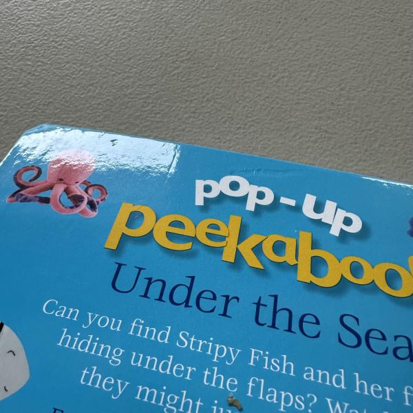 (微恙)DK Pop-Up Peekaboo! Under the Sea (躲貓貓大翻頁立體書：海底世界) 