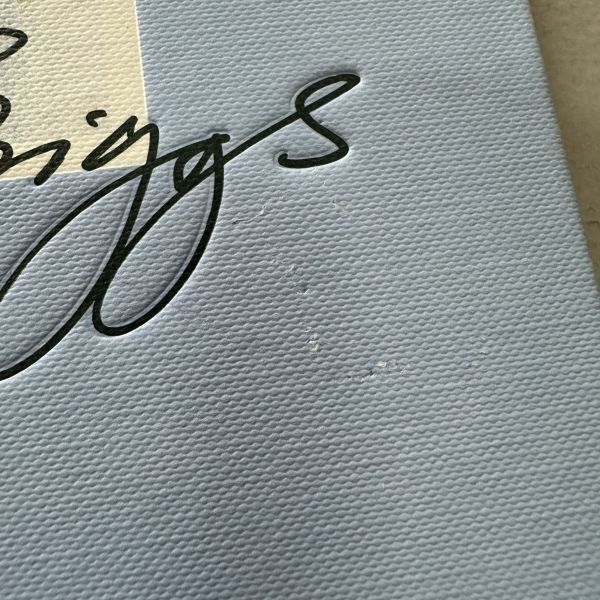 (微恙)Raymond Briggs (The Illustrators)(雷蒙‧布力格：The Illustrators系列) 