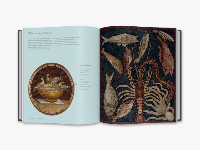 Bestiary  Animals in Art from the Ice Age to Our Age (British Museum)(藝術中的珍奇異獸：從冰河時期到現代) 