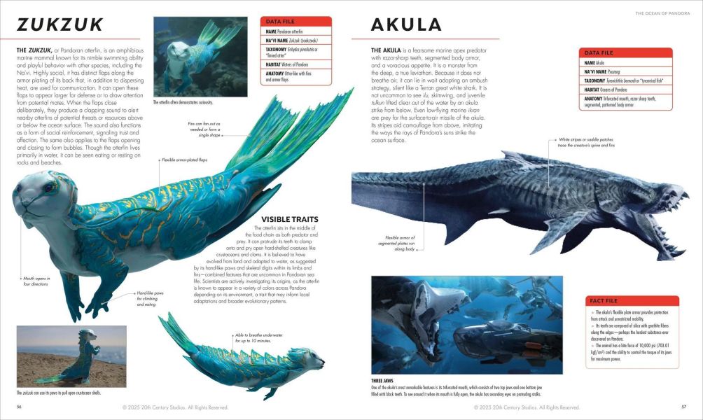 DK Avatar Fire and Ash The Visual Dictionary(阿凡達：火與燼 官方視覺大百科) 