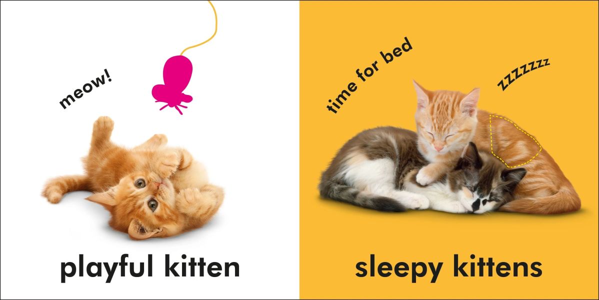 DK Baby Touch and Feel Kittens(寶寶觸摸書：小貓) 