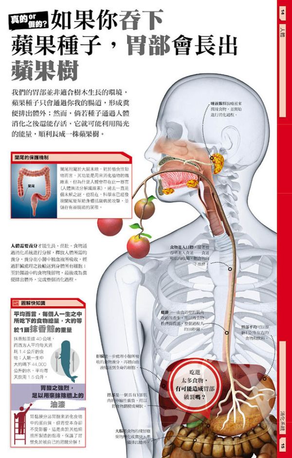 真的假的？(DK大百科06) 