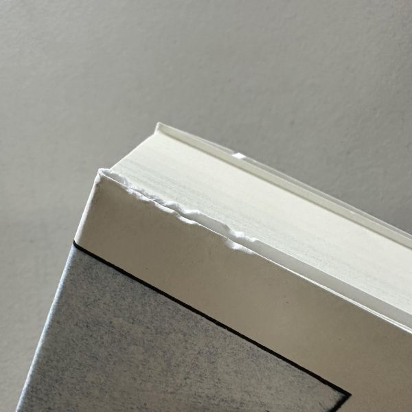 (骨折)Hokusai’s Fuji(北齋富嶽) 