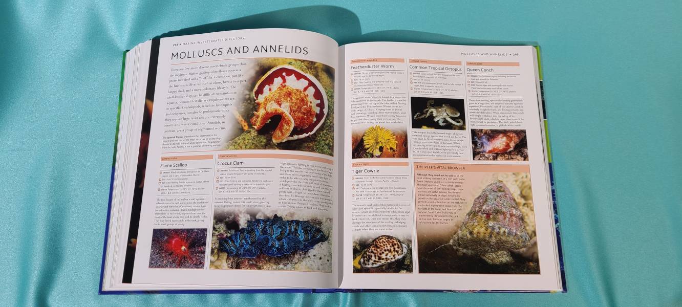 DK Encyclopedia of Aquarium and Pond Fish(觀賞魚百科) 