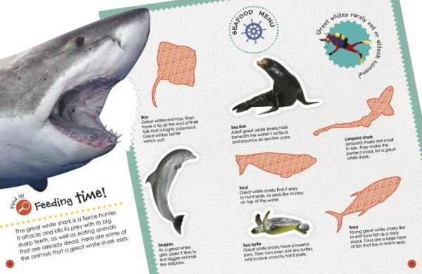 DK Sharks Ultimate Sticker Book (百科貼紙書：鯊魚) 