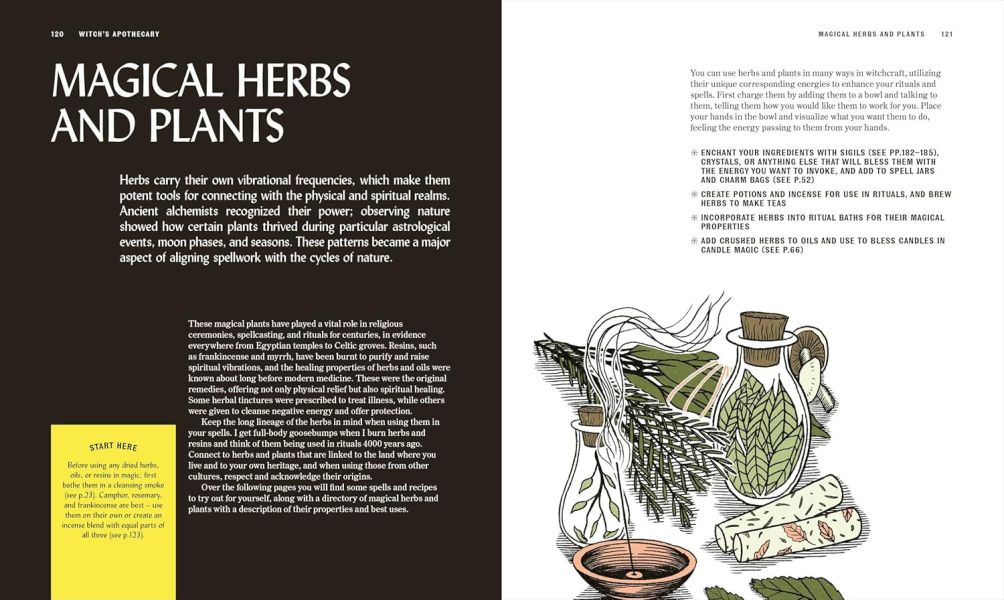 DK The Book of Witchcraft(魔法之書) 