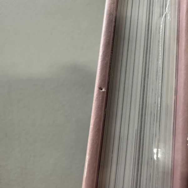 (微恙)Felinity: An Anthology of Illustrated Cats from around the World(Felinity：來自世界各地的貓咪插畫集) 