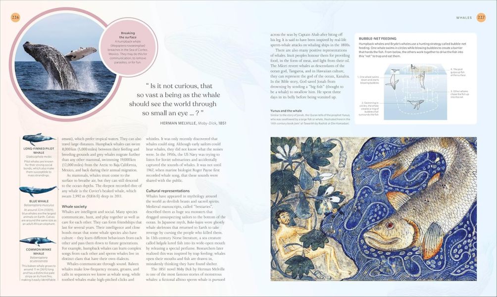 DK The Ocean Book: The Stories, Science, and History of Oceans(海洋：故事、科學&歷史) 