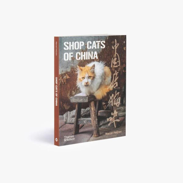 Shop Cats of China(中國街頭的店鋪貓：老店裡的守護者) 