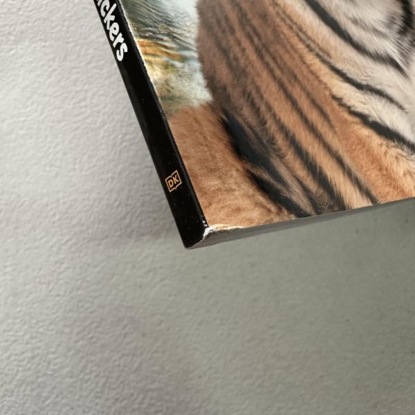 (微恙)DK Sticker Encyclopedia Animals (動物百科貼紙書) 