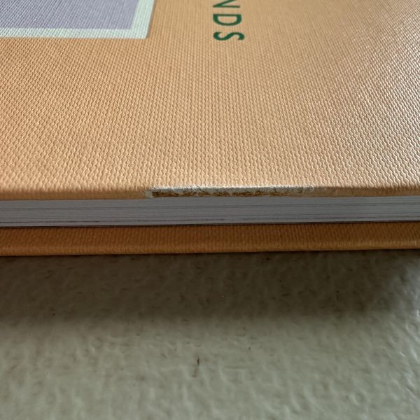 (微恙)Posy Simmonds (The Illustrators)(波西‧西蒙斯：The Illustrators系列) 