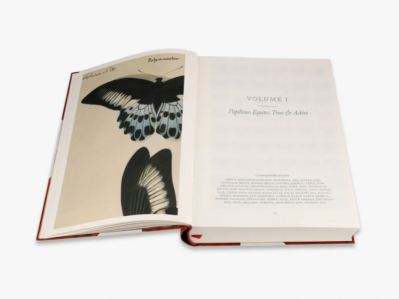 Iconotypes: A compendium of butterflies and moths. Jones’s Icones Complete (William Jones蝶蛾類插畫圖鑑) 