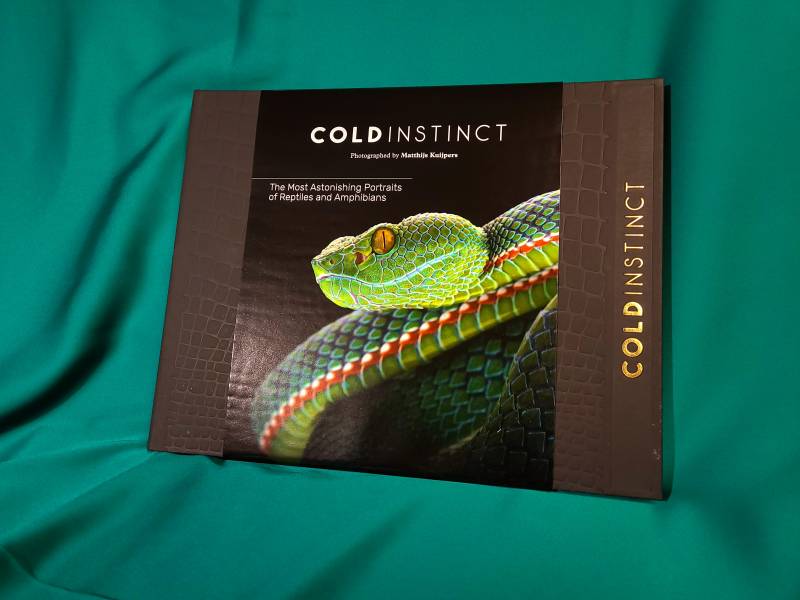 Matthijs Kuijpers: Cold Instinct (冷血本能：荷蘭攝影家Matthijs Kuijpers 與爬行動物及兩棲動物的華麗邂逅) 