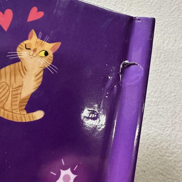 (骨折)DK Pop-Up Peekaboo! Taylor Swift(躲貓貓大翻頁立體書：泰勒絲) 