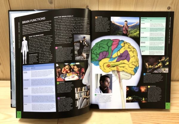 DK The Brain Book (大腦百科) 