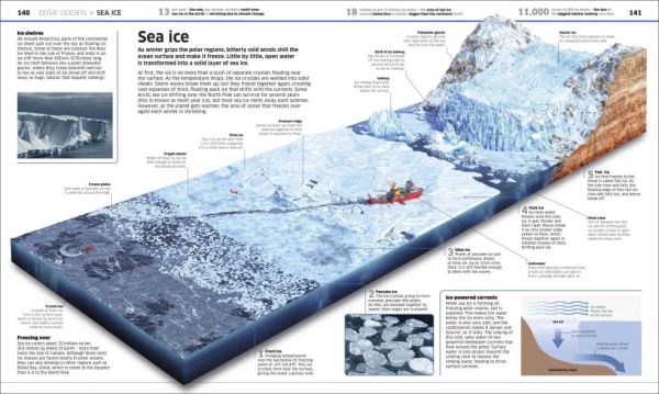 Knowledge Encyclopedia Ocean!(海洋知識大百科) 