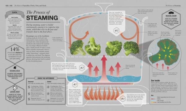 DK The Science of Cooking(烹飪的科學) 