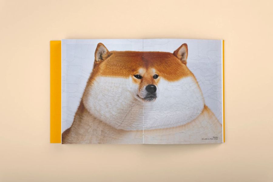 Good Dogs: Canine Companions in Art And Illustration(好狗狗：藝術插畫中的犬隻伙伴) 