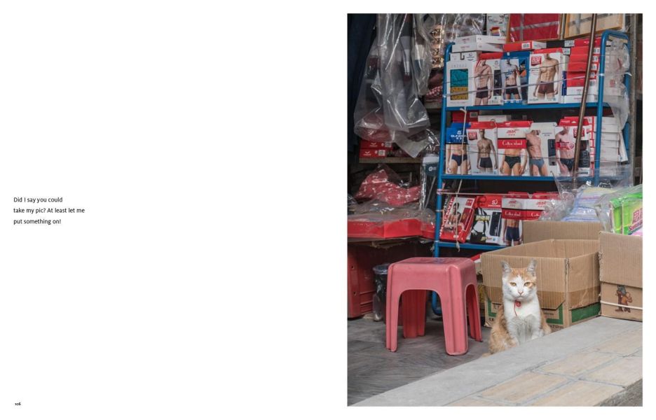 Shop Cats of China(中國街頭的店鋪貓：老店裡的守護者) 