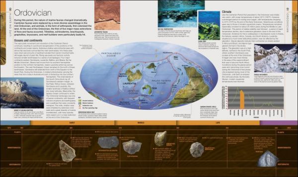 DK Dinosaurs and Prehistoric Life(恐龍與史前生物 2023年版) 