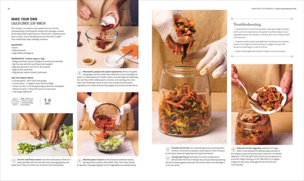 DK The Science of Fermentation(發酵的科學) 