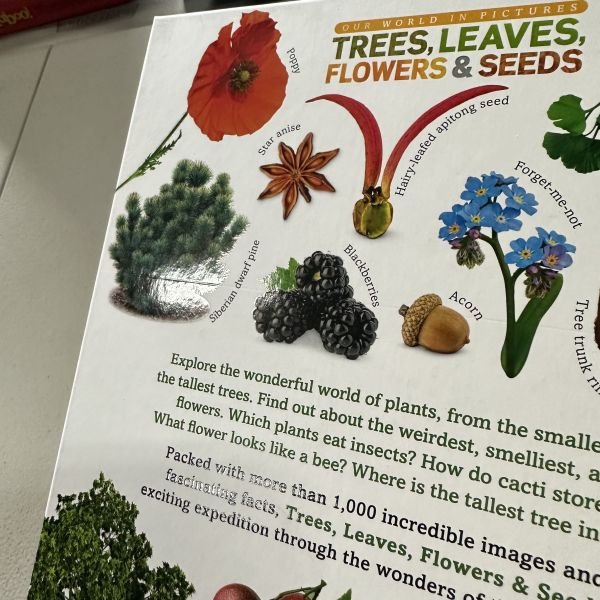 (微恙)DK Trees, Leaves, Flowers & Seeds (植物百科：樹木、葉、花、種子) 