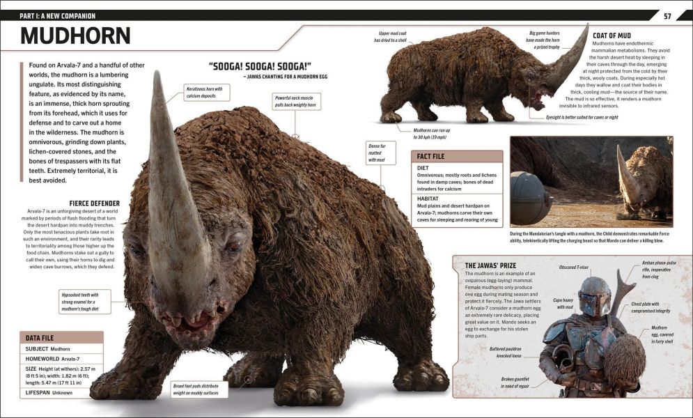 DK Star Wars The Mandalorian Visual Guide(星際大戰：曼達洛人視覺大百科) 
