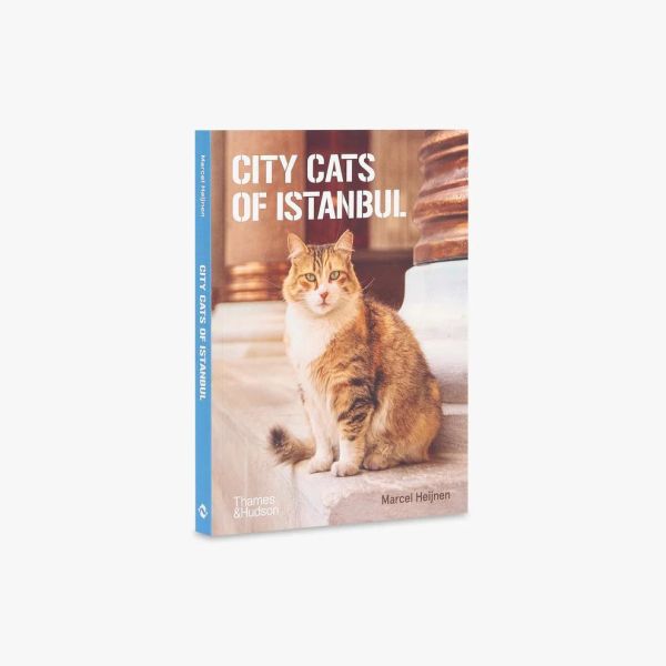 City Cats of Istanbul(貓咪市民：伊斯坦堡的街頭靈魂) 