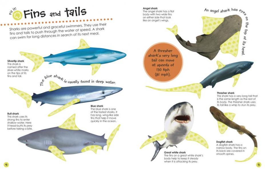 DK Sharks Ultimate Sticker Book (百科貼紙書：鯊魚) 