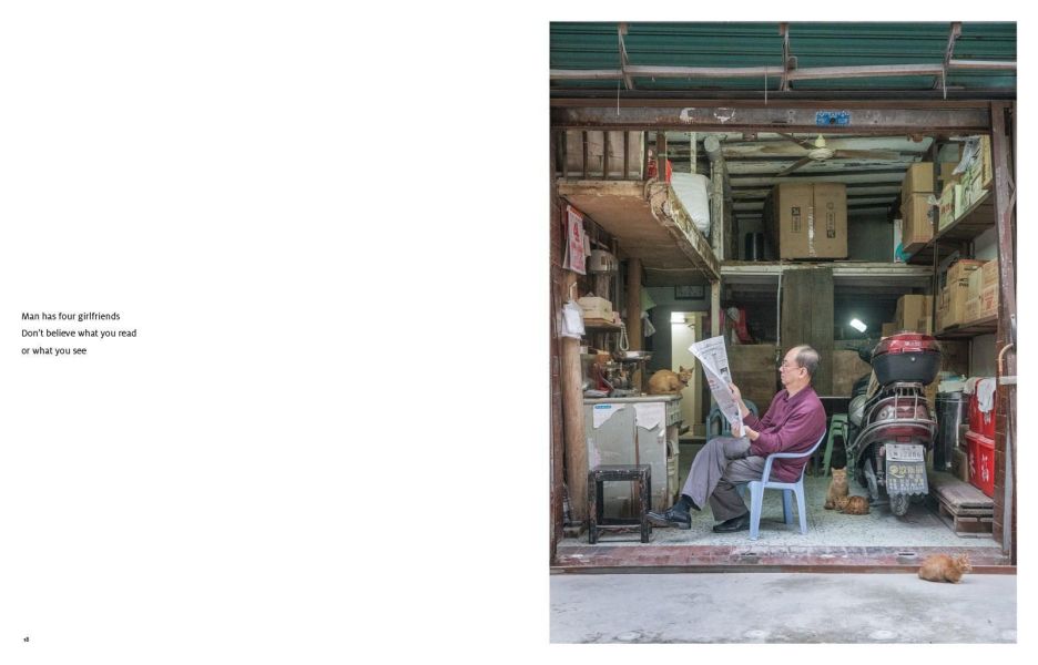 Shop Cats of China(中國街頭的店鋪貓：老店裡的守護者) 
