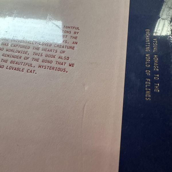 (微恙)Felinity: An Anthology of Illustrated Cats from around the World(Felinity：來自世界各地的貓咪插畫集) 