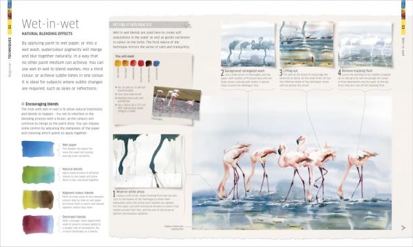 Watercolour Techniques for Artists and Illustrators (水彩畫技巧) 