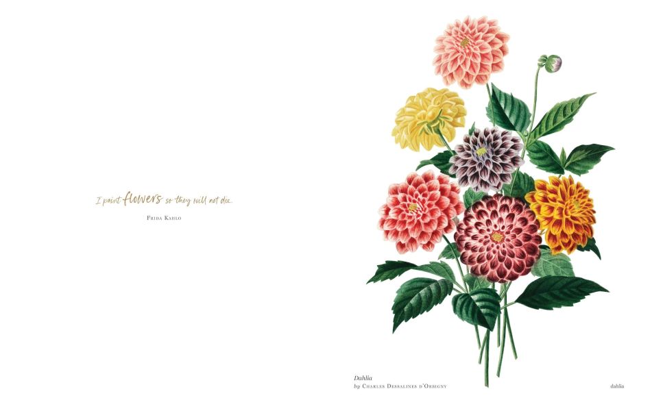 Biblioflora: A Celebration of Floral Beauty in Botanical Art(書香花卉：禮讚植物插畫藝術) 