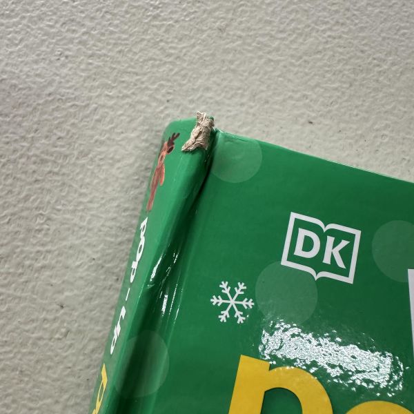 (微恙)DK Pop-Up Peekaboo! Reindeer(躲貓貓大翻頁立體書：馴鹿) 