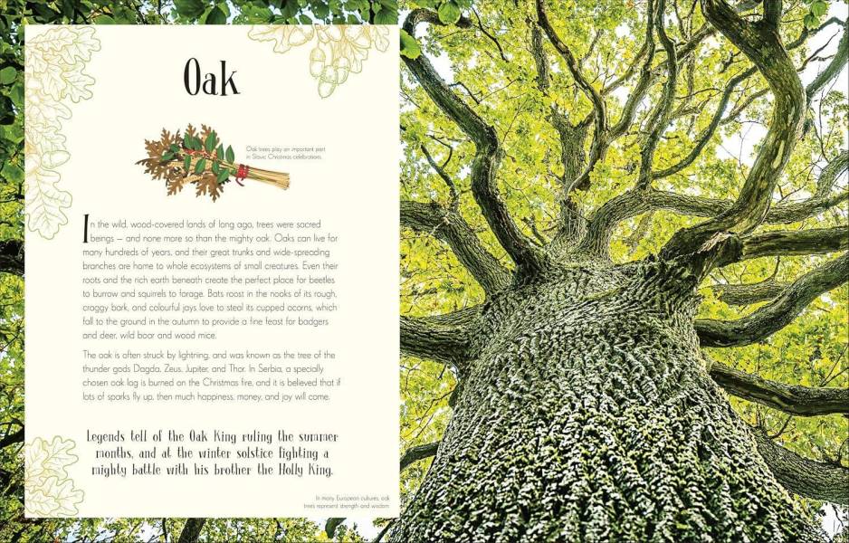 DK An Anthology of Christmas(聖誕節百科) 