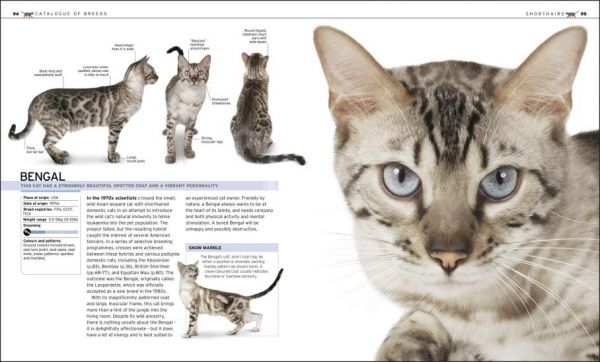 DK The Complete Cat Breed Book(貓咪品種圖鑑 增修版) 