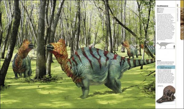 DK Dinosaurs and Prehistoric Life(恐龍與史前生物 2023年版) 