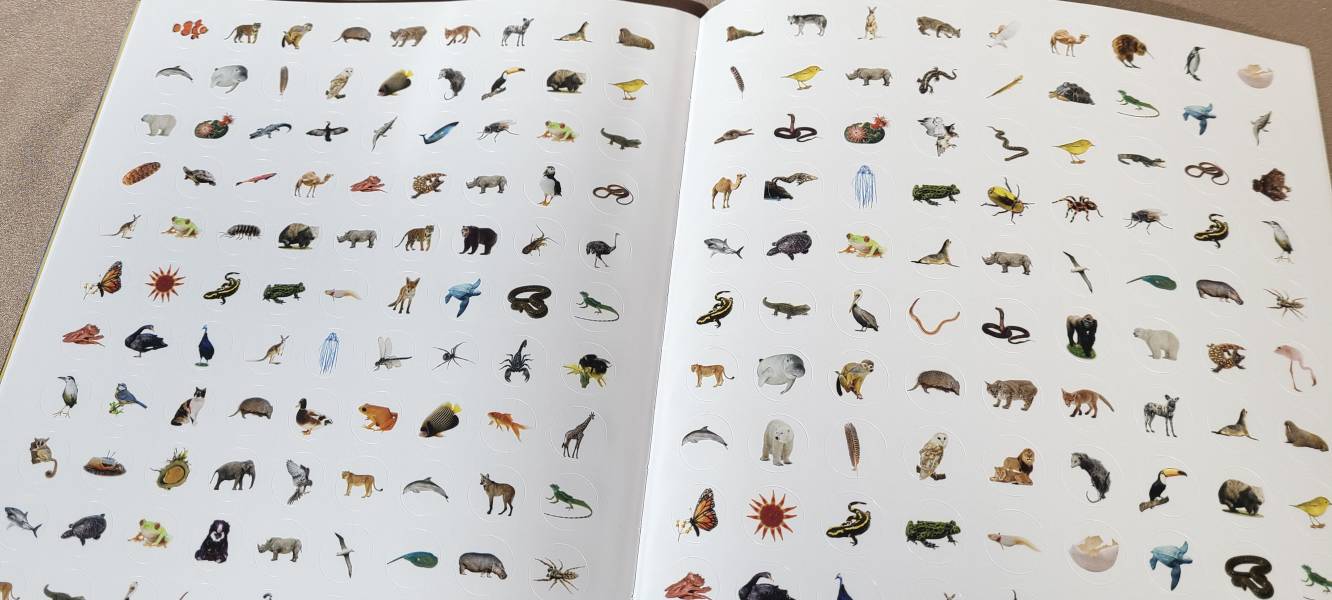 DK Sticker Encyclopedia Animals (動物百科貼紙書) 