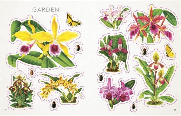 DK The Botanist's Sticker Anthology(古典畫風貼紙精選輯：植物篇) 