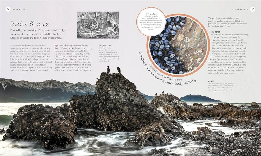 DK The Ocean Book: The Stories, Science, and History of Oceans(海洋：故事、科學&歷史) 