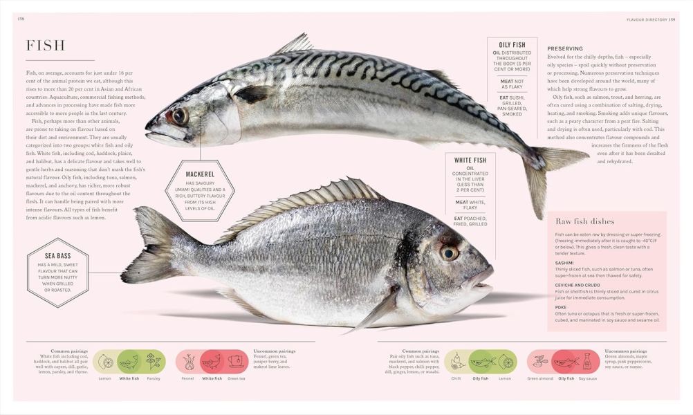 DK The Science of Flavour(食物風味的科學) 